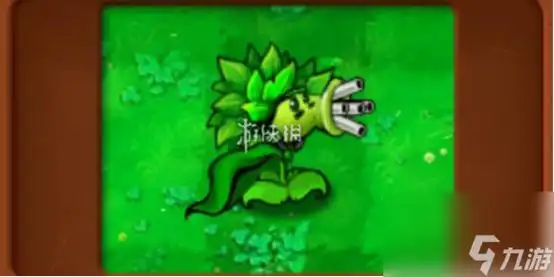 植物大战僵尸杂交版狂野机枪射手是一个输出极高的豌豆射手变体,能够