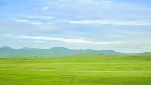 一看就让人舒心的绿色呀