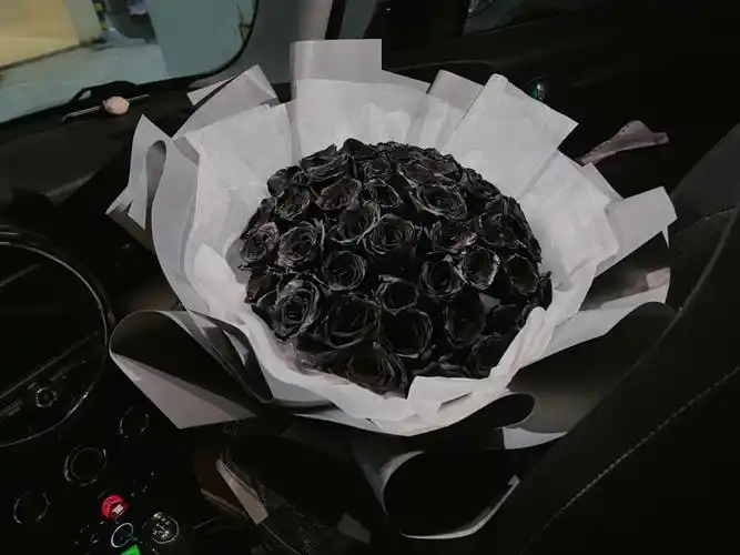 黑色幽默客定52只厄瓜多尔进口黑玫瑰