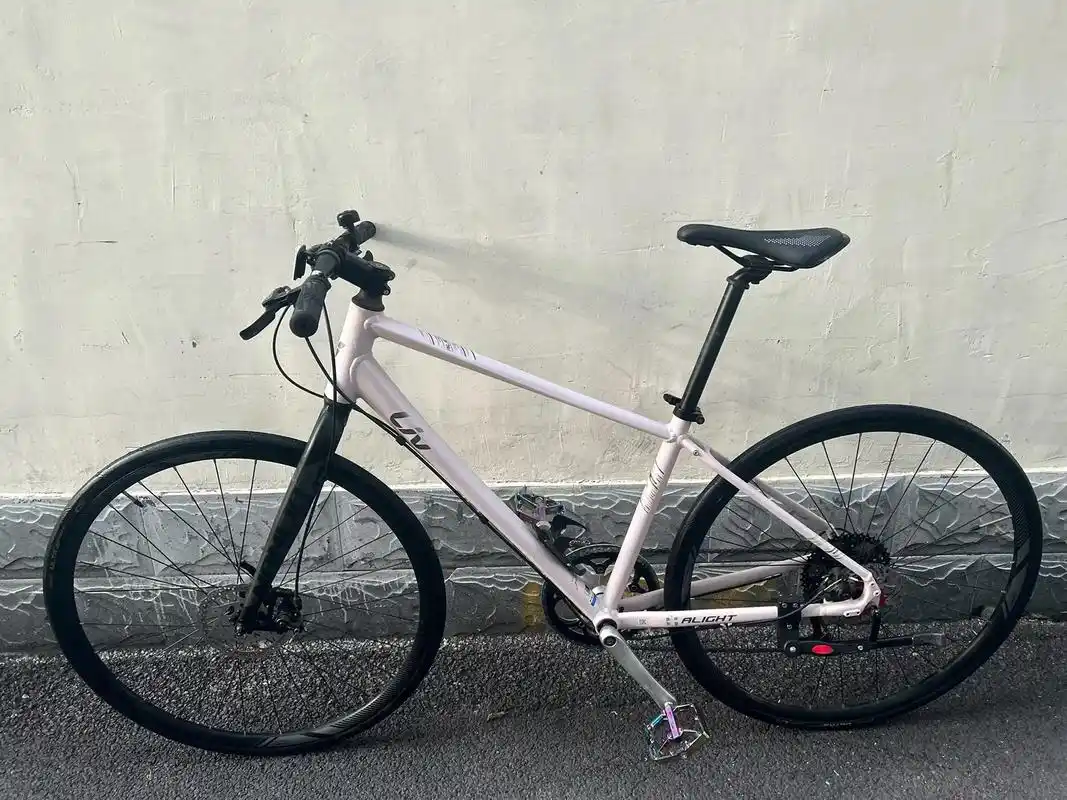 捷安特giant 2020 liv al