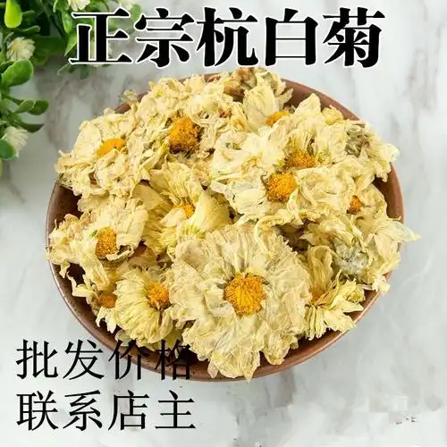 杭白菊胎菊的功效与作用白菊花和胎菊花哪个好