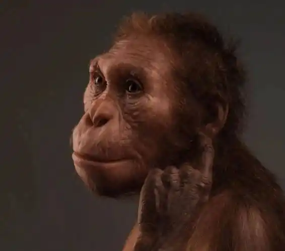 人类与猿的转变来自于劳动的力量