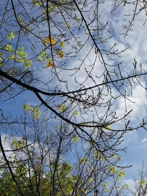 春天是心灵放牧的季节,找一个晴朗的天气,放下所有的牵挂,把心交给草