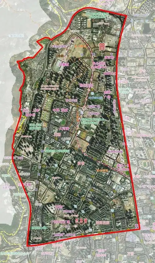 五华区开展区域核酸筛查|昆明市_网易订阅