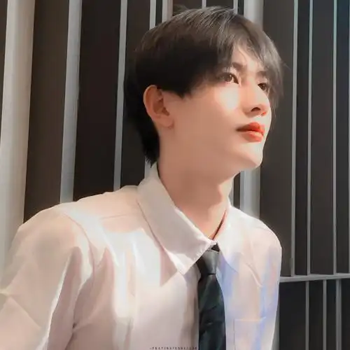 笨蛋美人甘望星