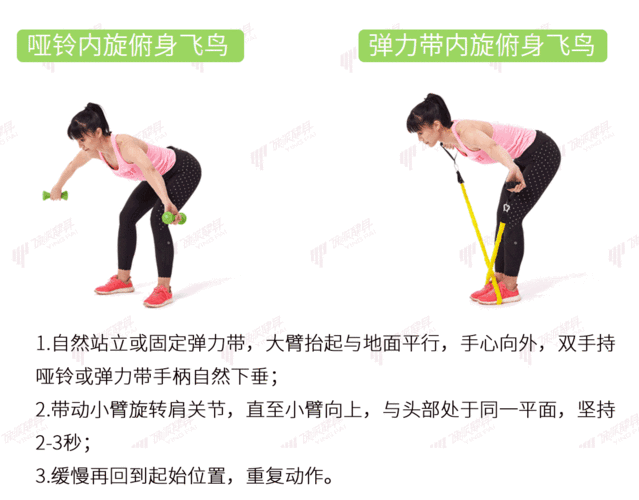 你的家乡,是中国第几胖?