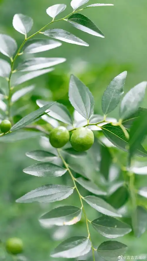 690_1226竖版 竖屏