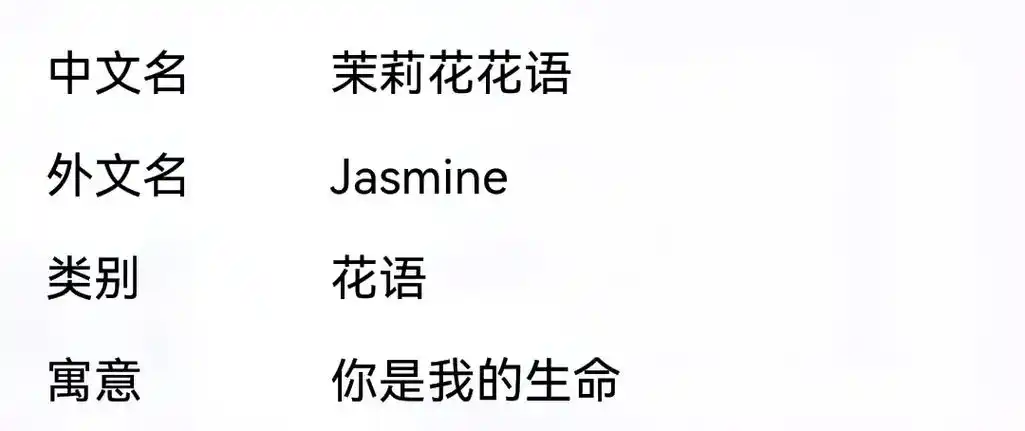 茉莉花花语:你是我的#抖音图文来了 #校园 #我会永远永远的 - 抖音