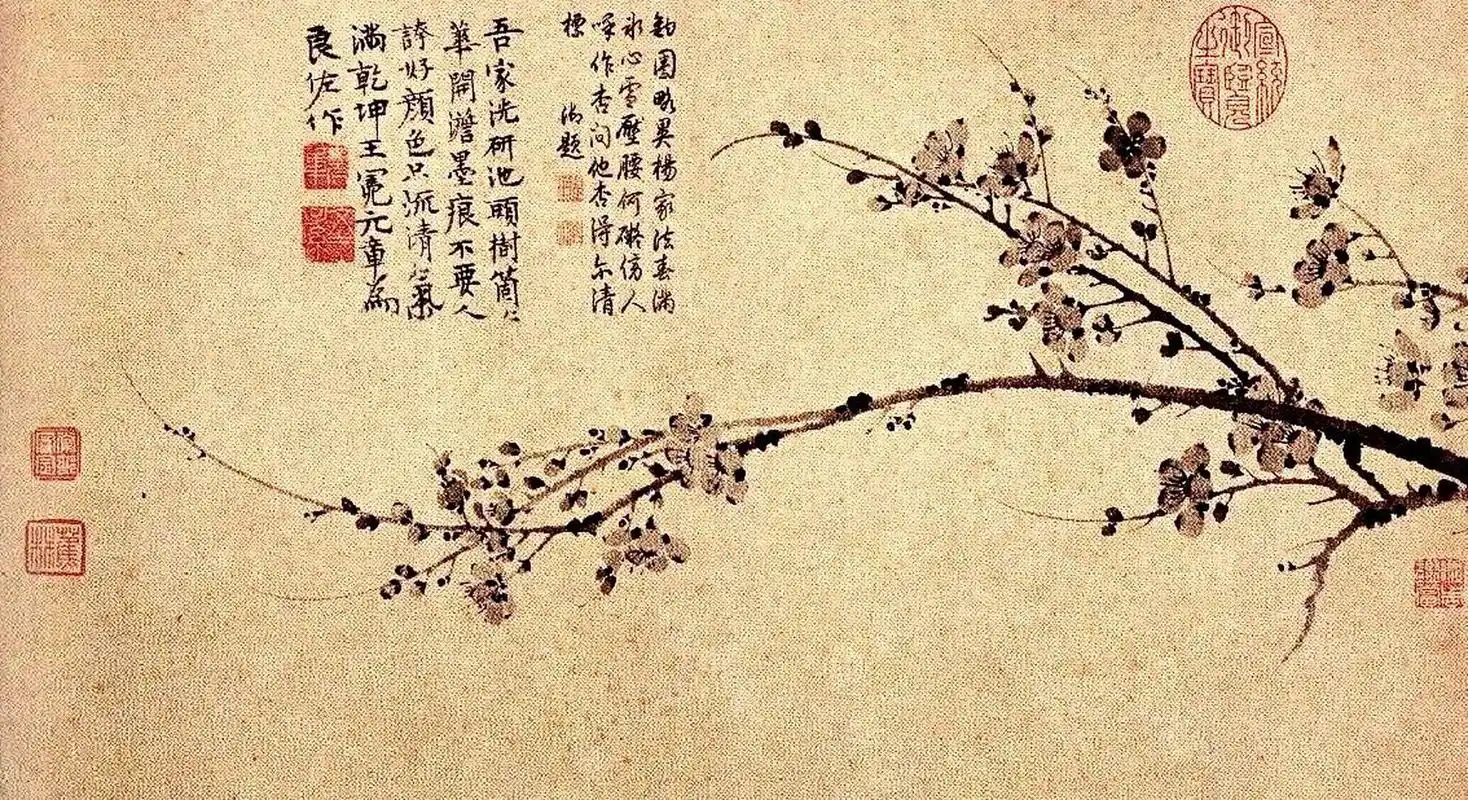 100幅中国名画赏析【64】《墨梅图》 画家:王冕 创作时间:元 尺寸:横