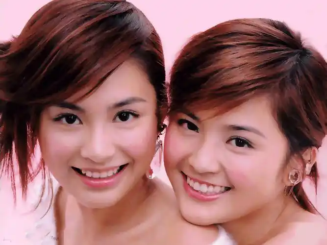 怎么都是外国的?我喜欢twins