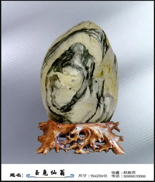 塔河奇石中的奇葩《塔河图纹石》第5集～画面石中的人物石(第二组),请