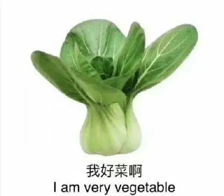 所谓"菜狗",就是指玩游戏玩的太烂,技术太菜,太渣;也有笨的意思,因为