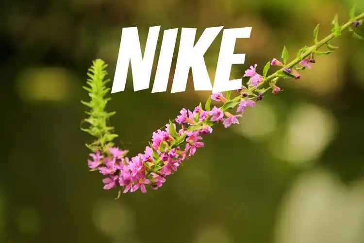 nike商标