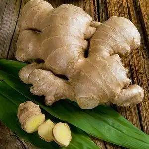 【云南生姜小黄姜图片】云南生姜小黄姜图片大全_q友网