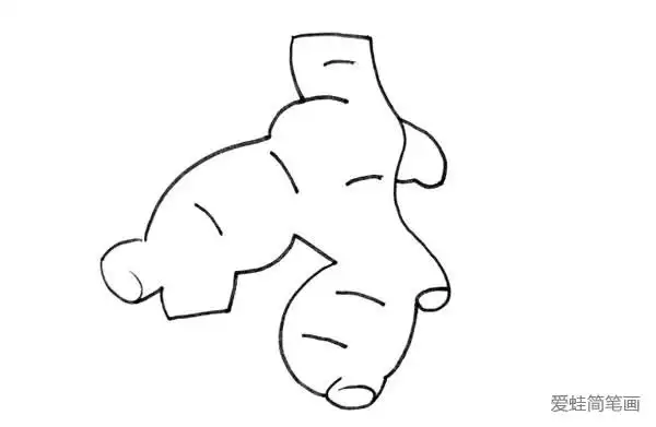 生姜简笔画