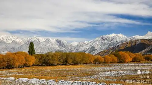 天山脚下,美景尽收,巍巍雪山,白云飘飘,碧水蓝天,牛羊成群,别具一番