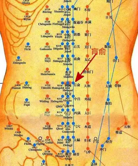 实际上是一体两面的穴,前者位于后背,后者位于腹部,其相对的位置,虽不