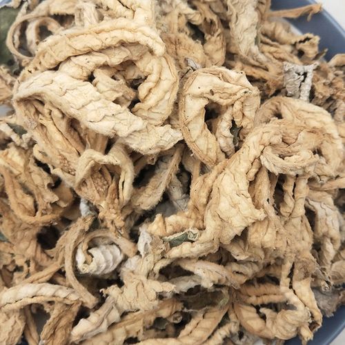 岩白菜 中药材 大叶岩白菜 岩壁菜 石白菜 红岩七