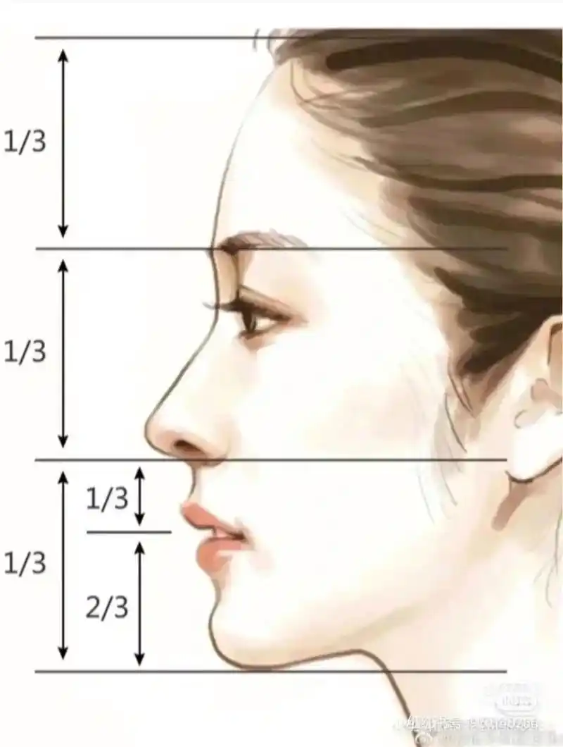 用程潇的侧颜浅试一下侧脸模板 #程潇##侧脸##侧脸模板# 没有醒图