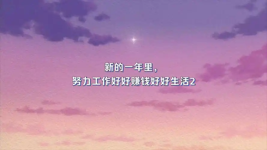 新的一年里,努力工作好好赚钱好好生活2