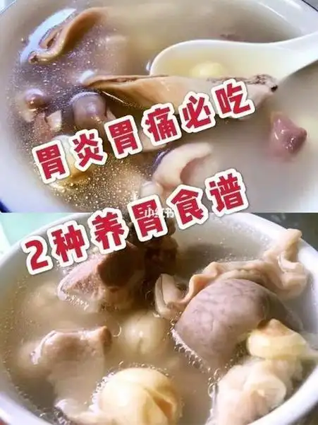 慢性肠胃炎饮食上吃啥最好(慢性肠胃炎饮食可以吃什么)