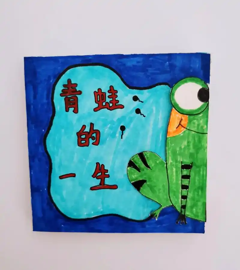 自制绘本青蛙的一生内页详图来了