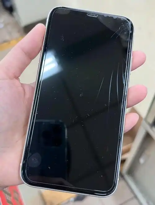 这个机器是iphone11,机主 - 抖音