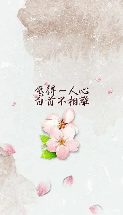 大学女生的情感故事