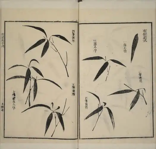 零基础国画课一阶学习范本