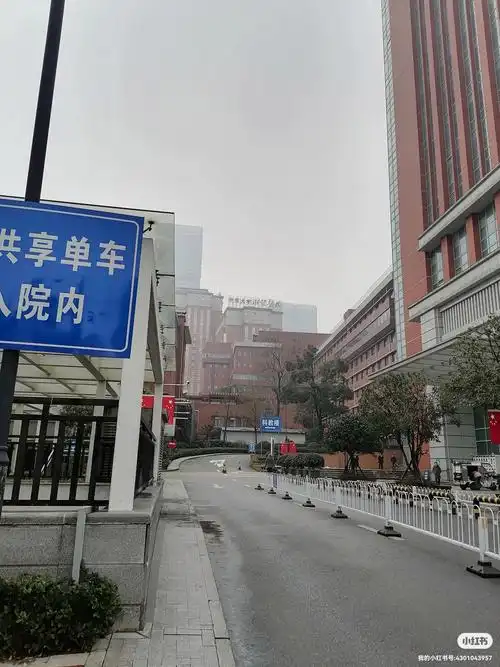 近距离接触冻雨律回春晖渐万象始更新在长沙近距离接触冻雨还好还好