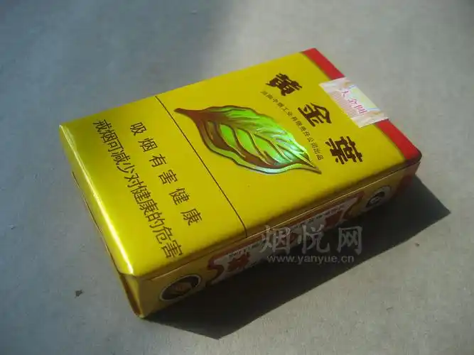 黄金叶(软大金圆)