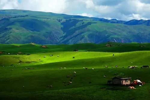 【杨卫东中国西部摄影作品选】