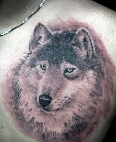 胸前的黑灰狼头纹身图案