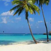 椰树海岛风景头像_微信头像图片大全