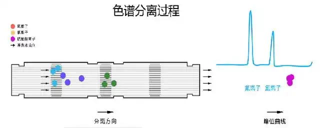 采用离子交换的原理,借助薄壳型离子色谱柱快速分离多种离子,由串联在