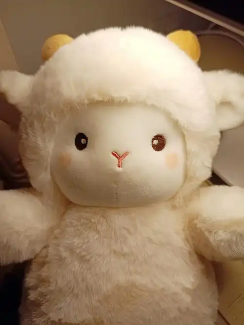 ins网红小羊公仔毛绒玩具系布娃娃可爱玩偶抱枕生日礼物女生波克小羊