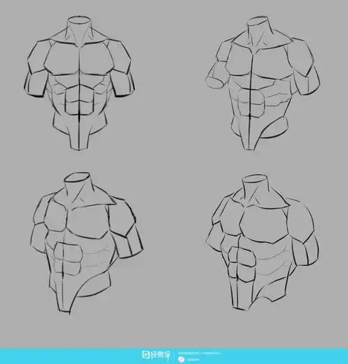 游戏原画培训课程之人体腔体的正面各个角度训练