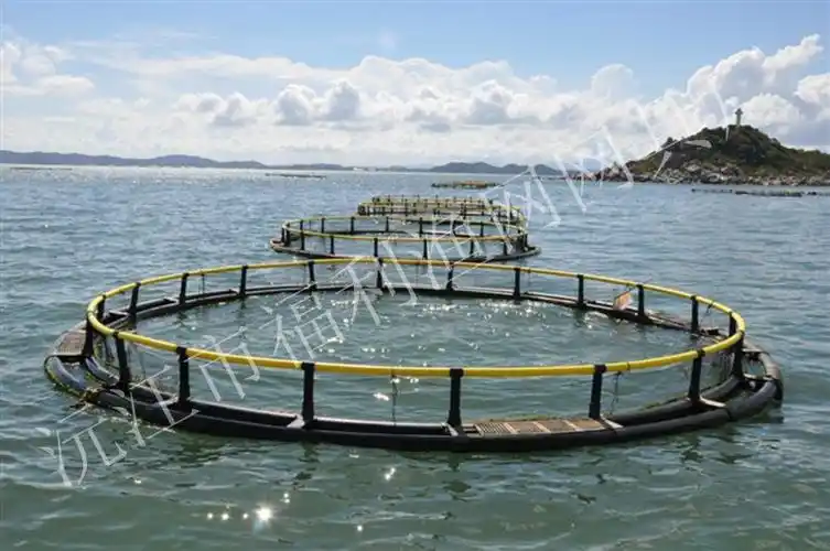 供应深海养殖网箱,深海网箱价格,海水养鱼网箱,深海抗风浪网箱,大海