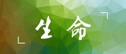 生命无常,能做什么?