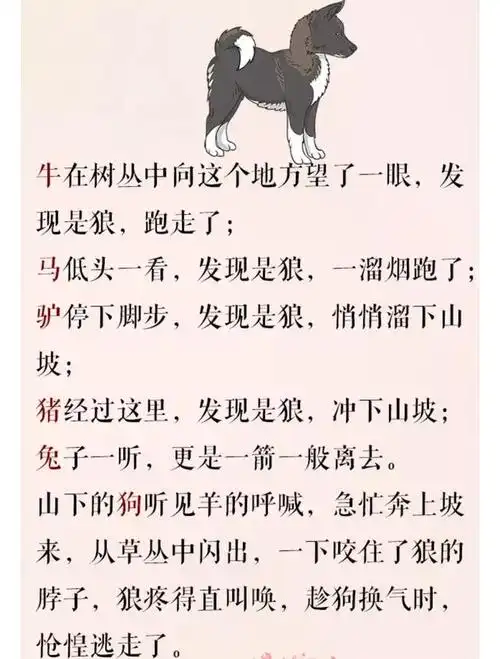 《狼要吃羊》故事很短,却看穿了人性