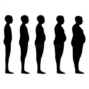 瘦胖图片-瘦胖素材-瘦胖插画-摄图新视界