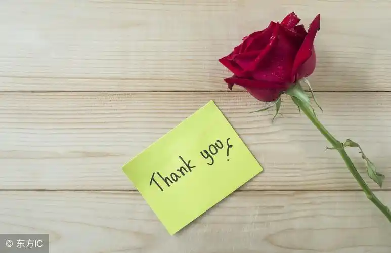 选一句优美的词句,去感谢今天关心你,送你礼物的人,留一个纪念