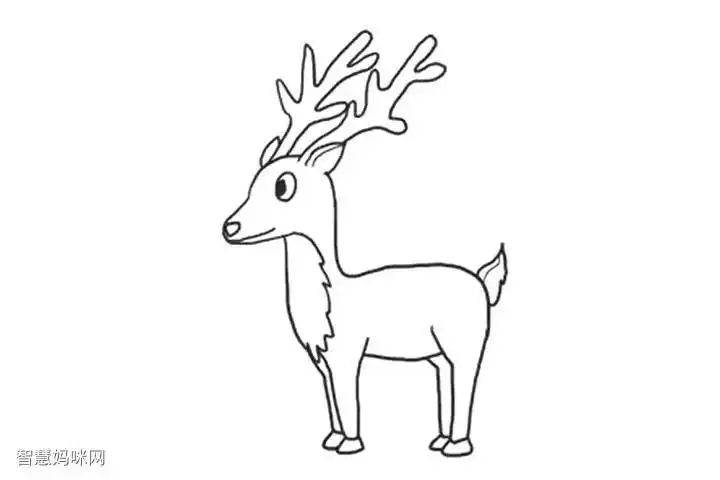 怎么画鹿