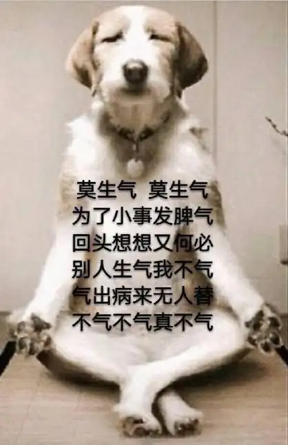 莫生气 莫生气!为了小事发脾气,回头想想又何必.