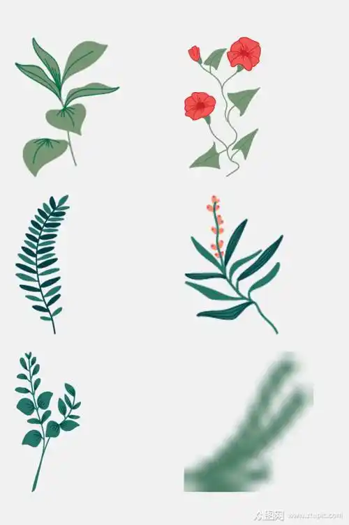 清新植物插画免抠设计素材