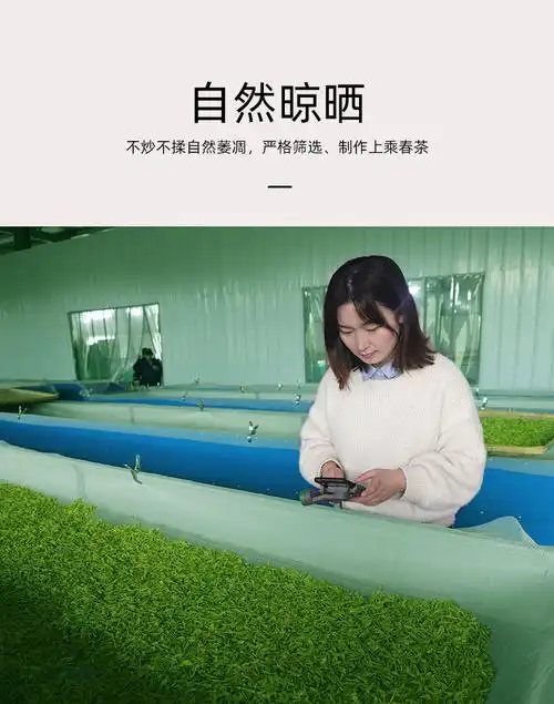 白荡里 仙羽舌白茶叶250克礼盒