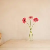 唯美意境一朵花图片_一朵花微信头像