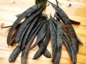 1云南腾药美洲大蠊活性洗发液护发素066868新疆奥斯曼防脱养发植物