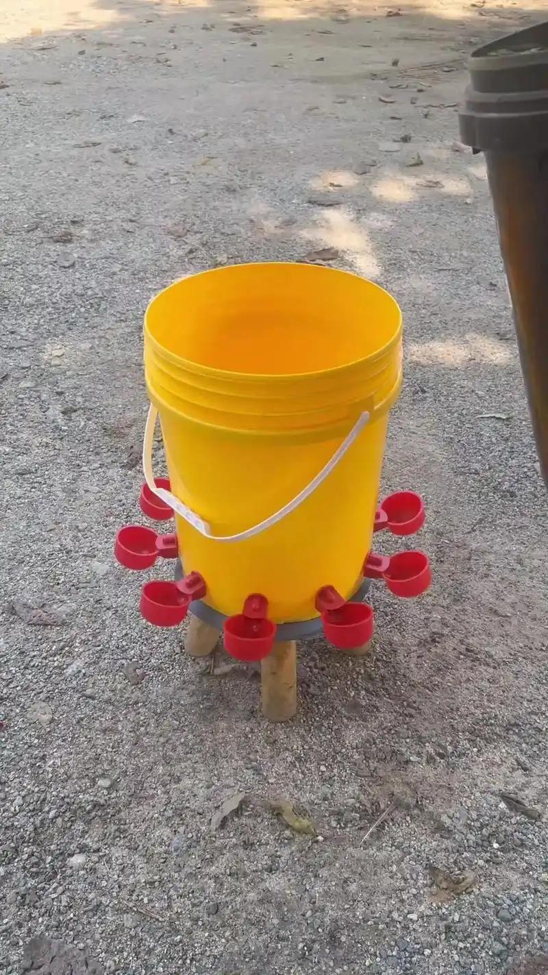家禽喝水器💧制作教程
