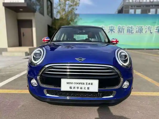 mini mini  2019款 1.5t cooper 艺术家图片
